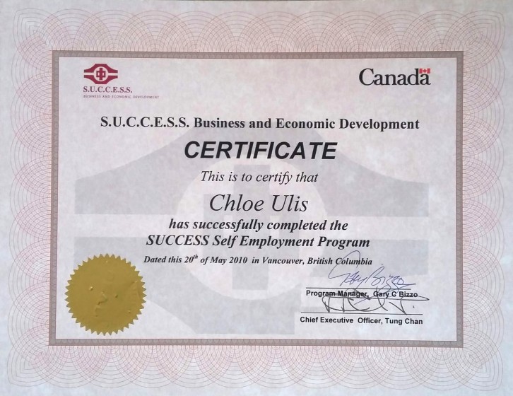 success certification